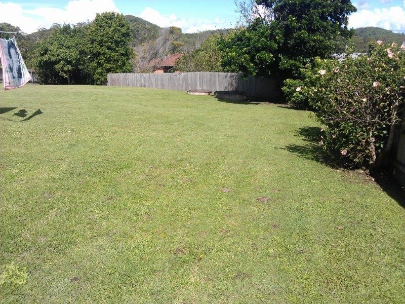 47 Wallace Street, Scotts Head NSW 2447