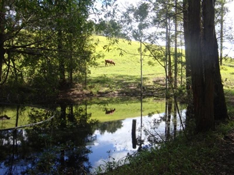 356 Browns Crossing Road, Eungai Creek NSW 2441