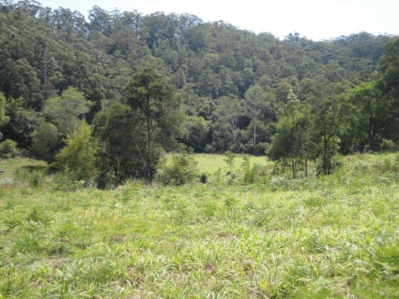 356 Browns Crossing Road, Eungai Creek NSW 2441