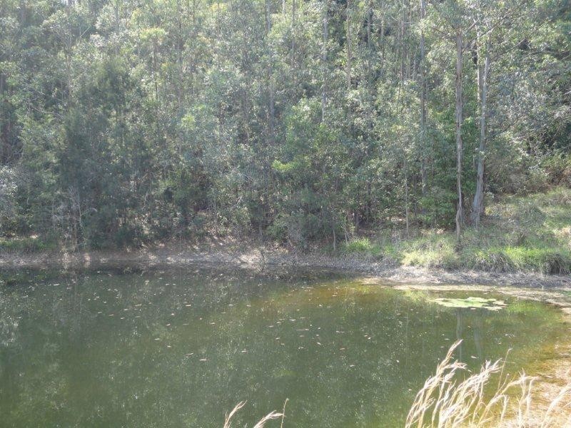 356 Browns Crossing Road, Eungai Creek NSW 2441