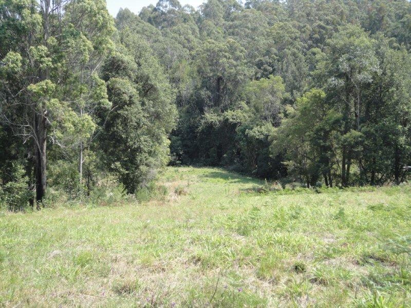 356 Browns Crossing Road, Eungai Creek NSW 2441