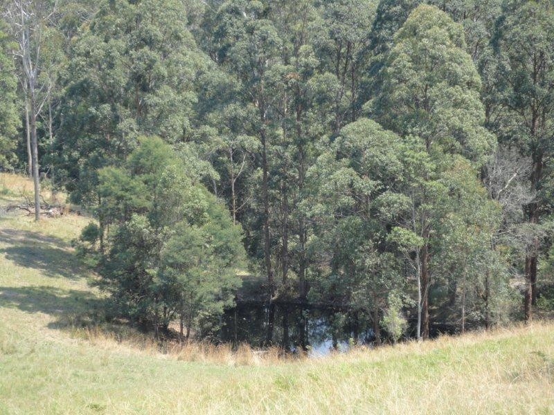 356 Browns Crossing Road, Eungai Creek NSW 2441