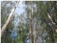 Lot 8 Mitchell’s Road, Valla NSW 2448