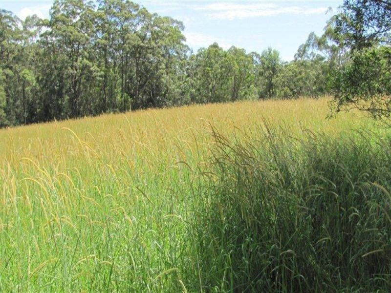 Lot 8 Mitchell’s Road, Valla NSW 2448