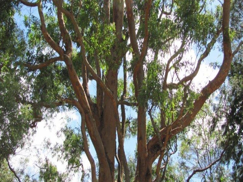 Lot 8 Mitchell’s Road, Valla NSW 2448