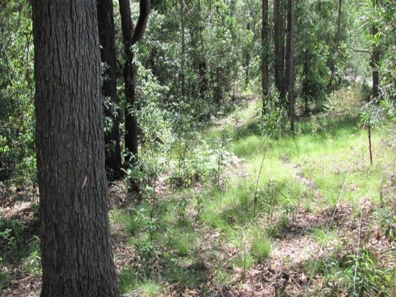 Lot 8 Mitchell’s Road, Valla NSW 2448