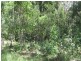 Lot 8 Mitchell’s Road, Valla NSW 2448