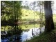 356 Browns Crossing Road, Eungai Creek NSW 2441