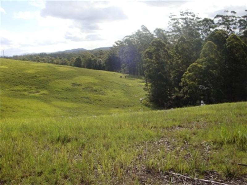 356 Browns Crossing Road, Eungai Creek NSW 2441