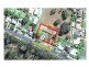 35-39 Valla Beach Road, Valla Beach NSW 2448