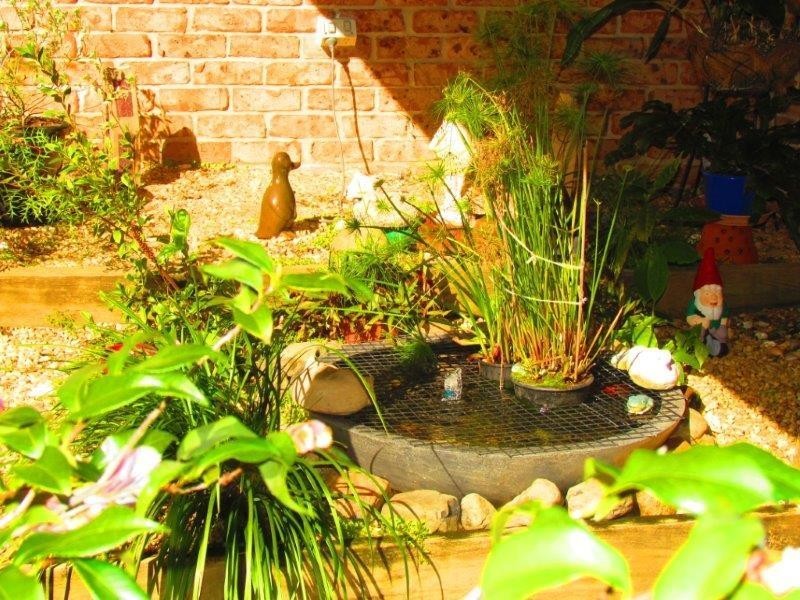 7 Doncaster Place, Hyland Park NSW 2448