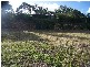 15 Ellis Place, Underwood QLD 4119