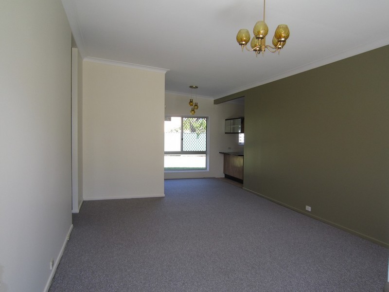 28 Blackwattle Street, Macgregor QLD 4109