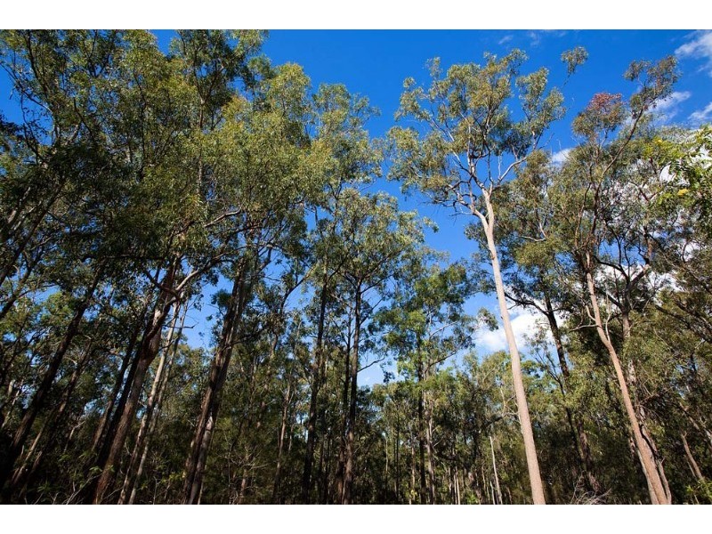 194 Campbell Road, Sheldon QLD 4157