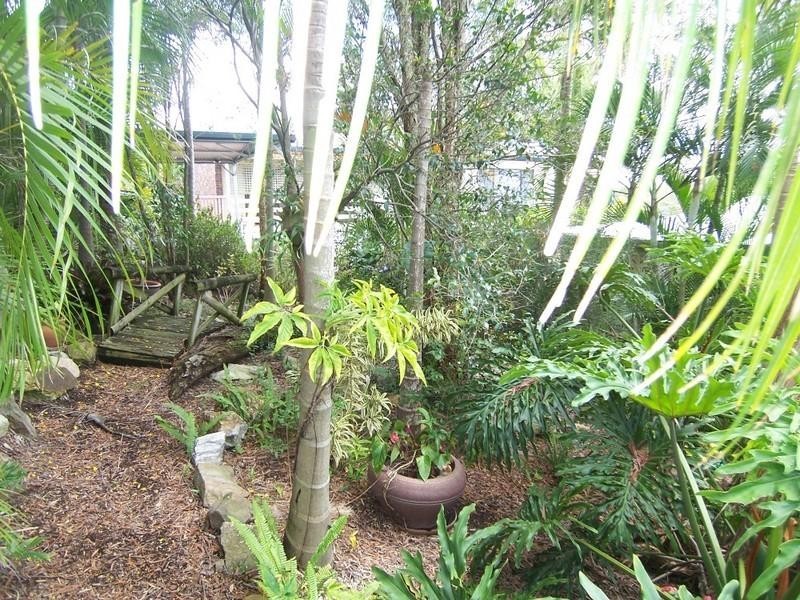 77 Crewe Street, Mount Gravatt East QLD 4122