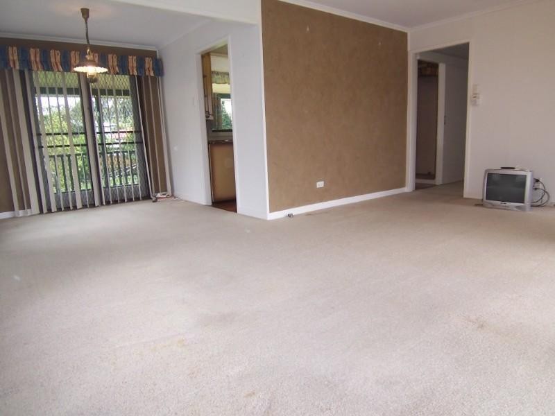 48 Abbeville Street, Upper Mount Gravatt QLD 4122