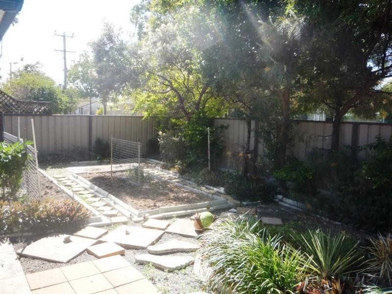 19 Springfield Street, Macgregor QLD 4109