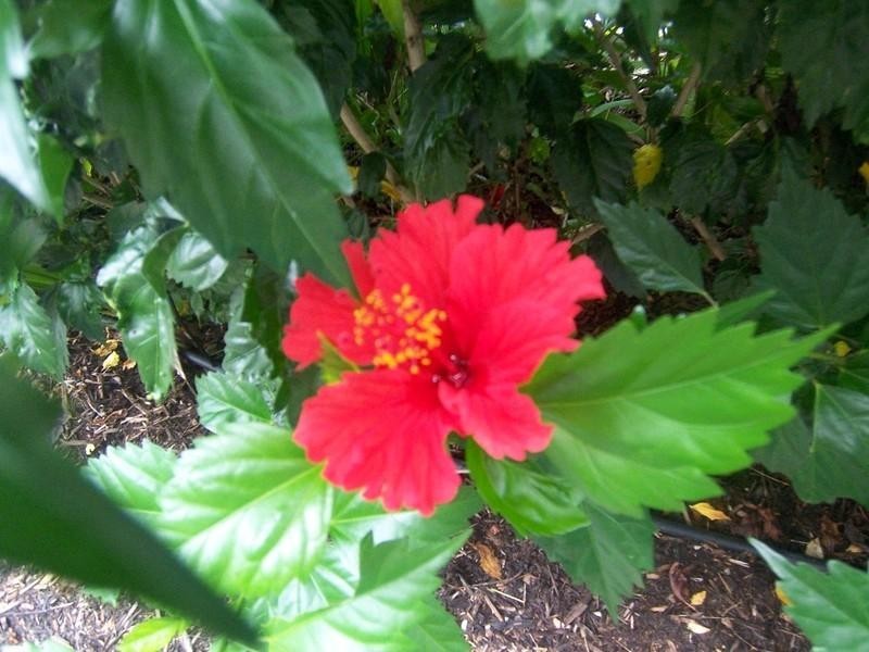 24/1884 Logan Road, Upper Mount Gravatt QLD 4122