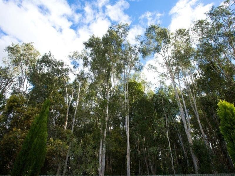 12/19 Likala Street, Wishart QLD 4122