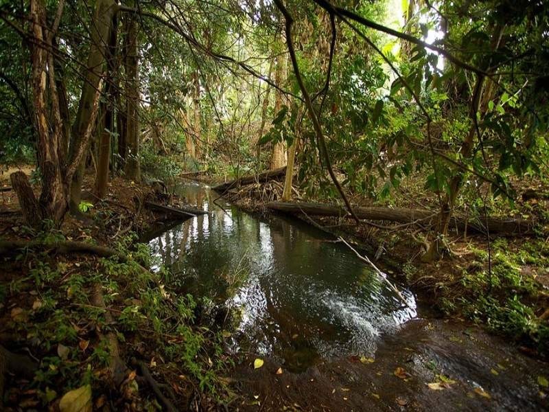 79 Cremin Street, Upper Mount Gravatt QLD 4122