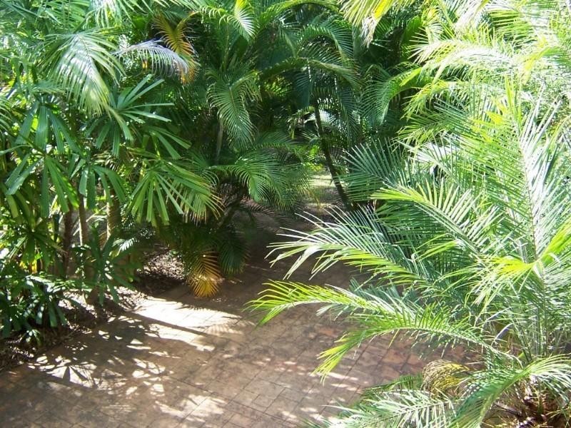 11 Greycliffe Street, Mount Gravatt East QLD 4122