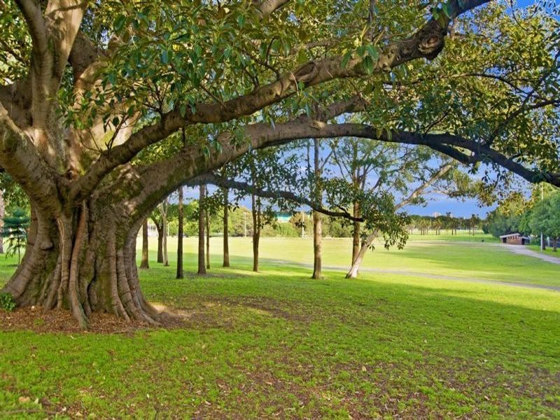 20 Moore Park Road, Paddington NSW 2021