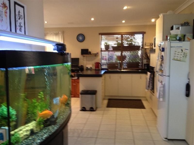 8/38 Adana Elbow, Kenwick WA 6107