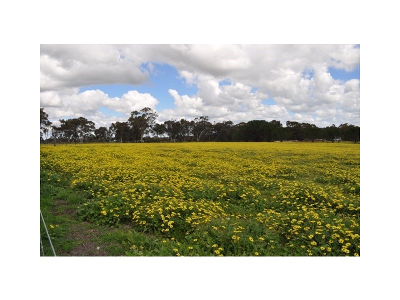 1 Pitt Street, Pingelly WA 6308