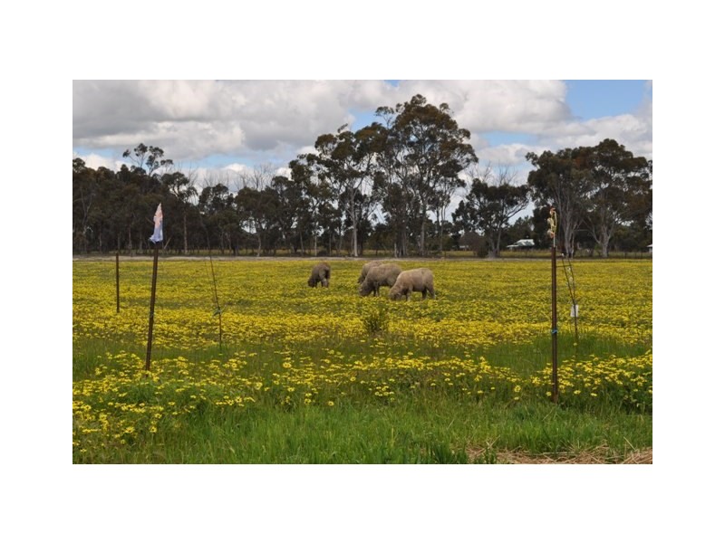 1 Pitt Street, Pingelly WA 6308