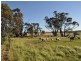 Lot 801 Yenellin Road, Pingelly WA 6308