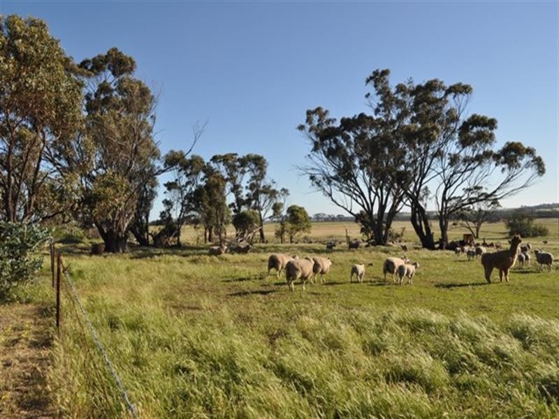 Lot 801 Yenellin Road, Pingelly WA 6308