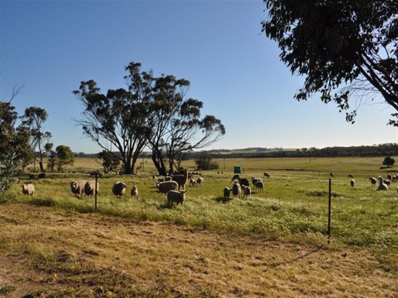 Lot 801 Yenellin Road, Pingelly WA 6308
