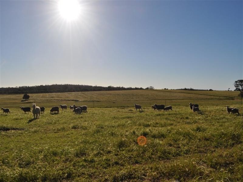 Lot 801 Yenellin Road, Pingelly WA 6308