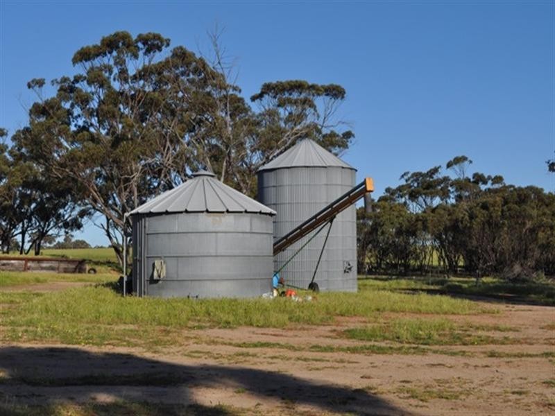 Lot 801 Yenellin Road, Pingelly WA 6308