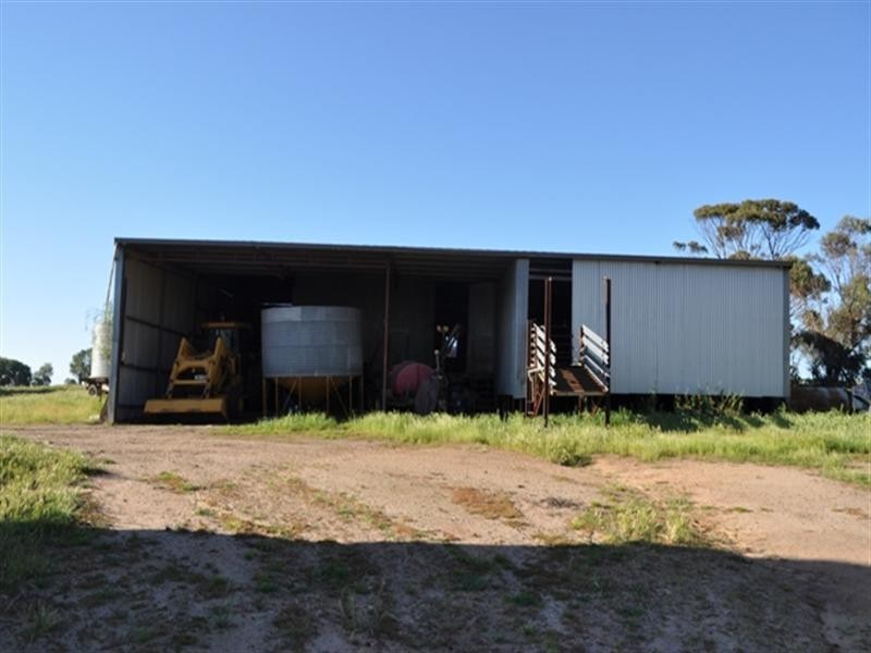 Lot 801 Yenellin Road, Pingelly WA 6308