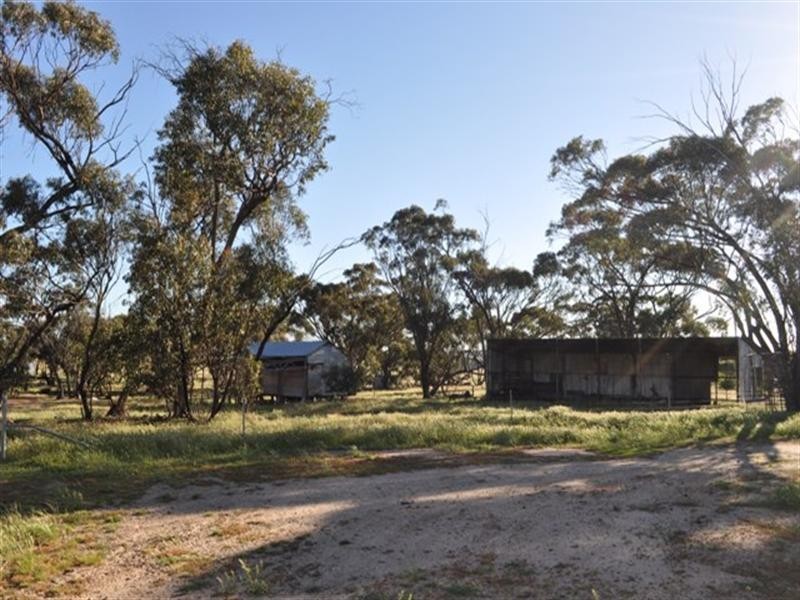 Lot 801 Yenellin Road, Pingelly WA 6308