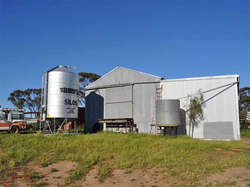 Lot 801 Yenellin Road, Pingelly WA 6308