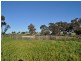 Lot 801 Yenellin Road, Pingelly WA 6308