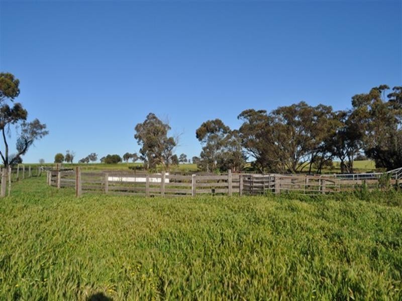 Lot 801 Yenellin Road, Pingelly WA 6308