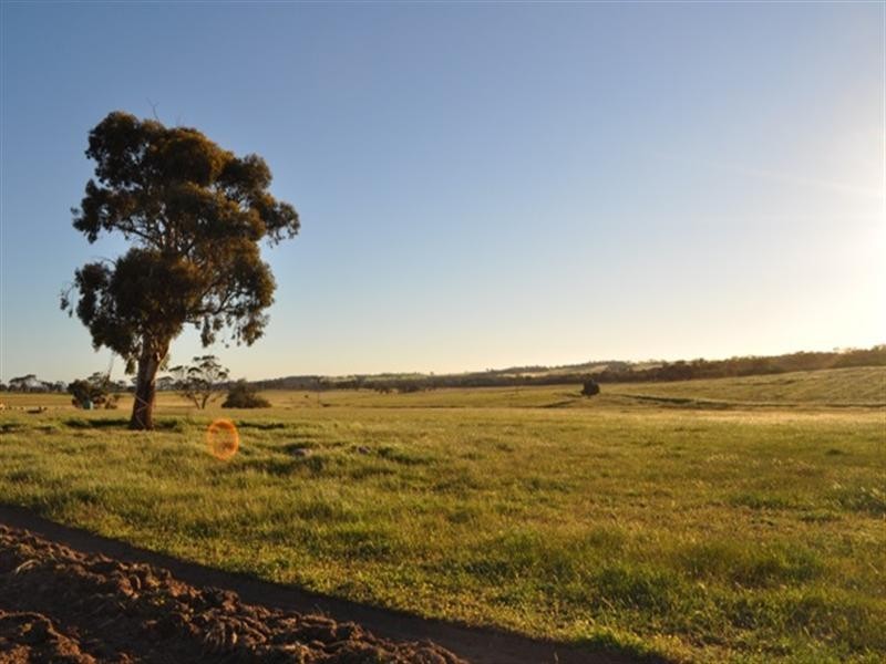 Lot 801 Yenellin Road, Pingelly WA 6308
