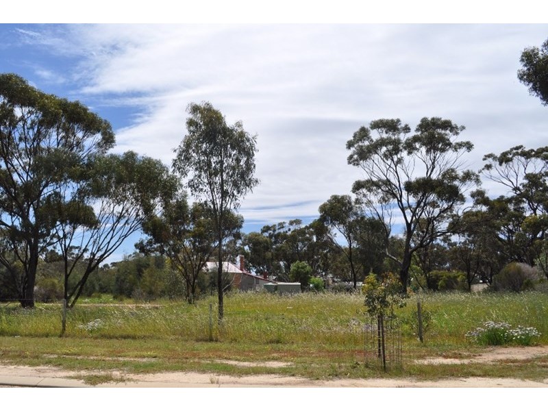 81 Stratford Street, Pingelly WA 6308