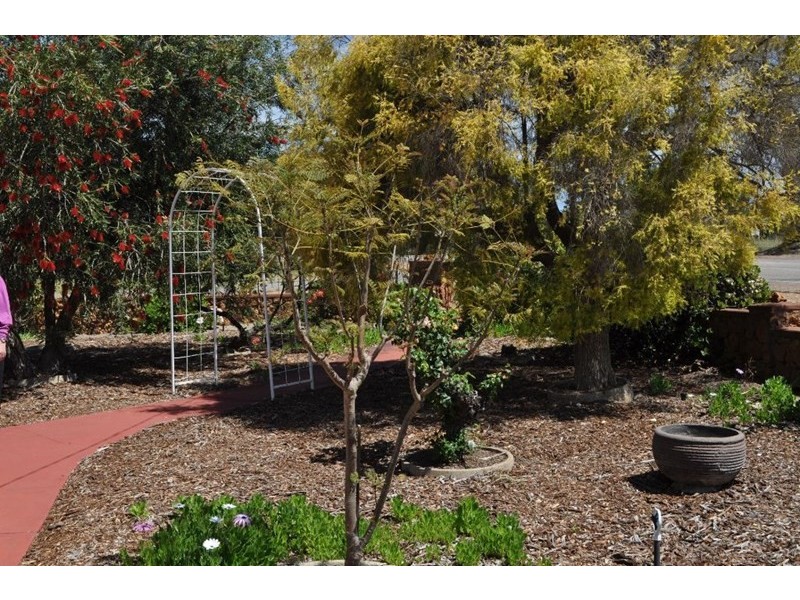 40 Pitt Street, Pingelly WA 6308