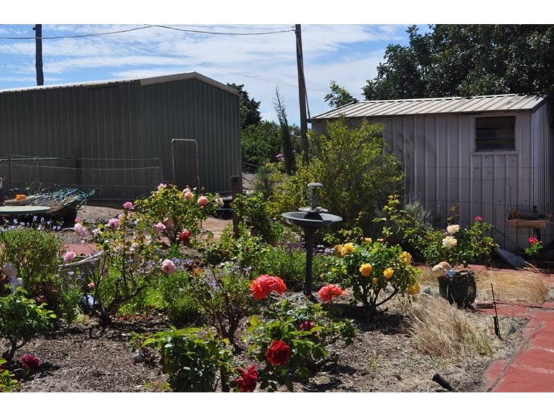 40 Pitt Street, Pingelly WA 6308