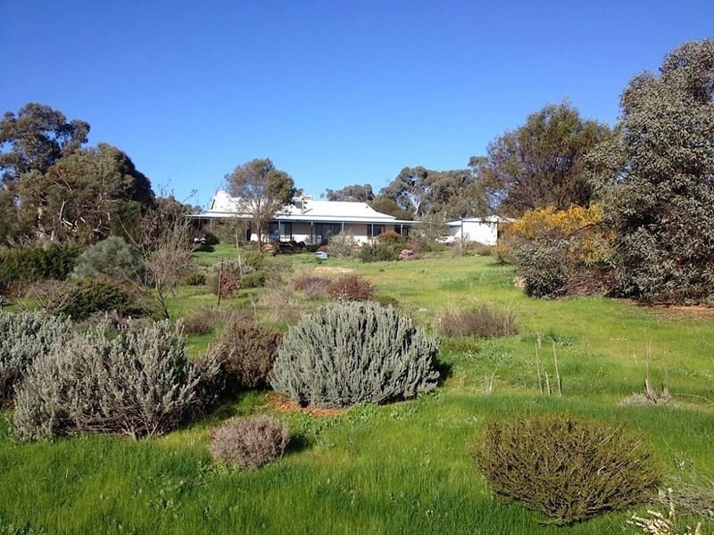 679 Hillcroft Road, Jelcobine WA 6306