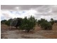 679 Hillcroft Road, Jelcobine WA 6306