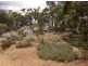 679 Hillcroft Road, Jelcobine WA 6306