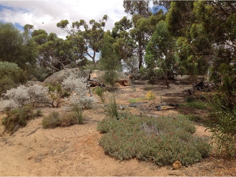 679 Hillcroft Road, Jelcobine WA 6306
