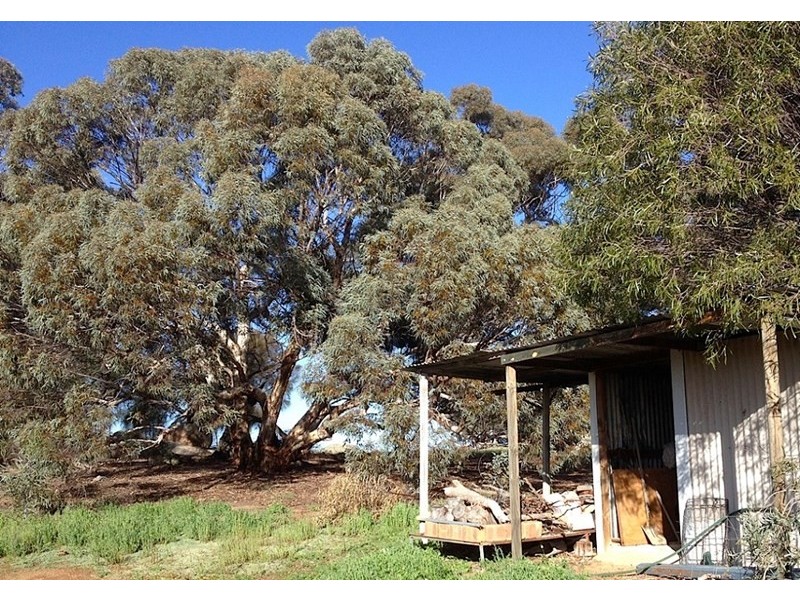 679 Hillcroft Road, Jelcobine WA 6306