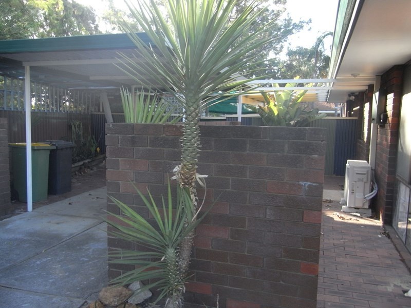 4 Griffith Way, Thornlie WA 6108