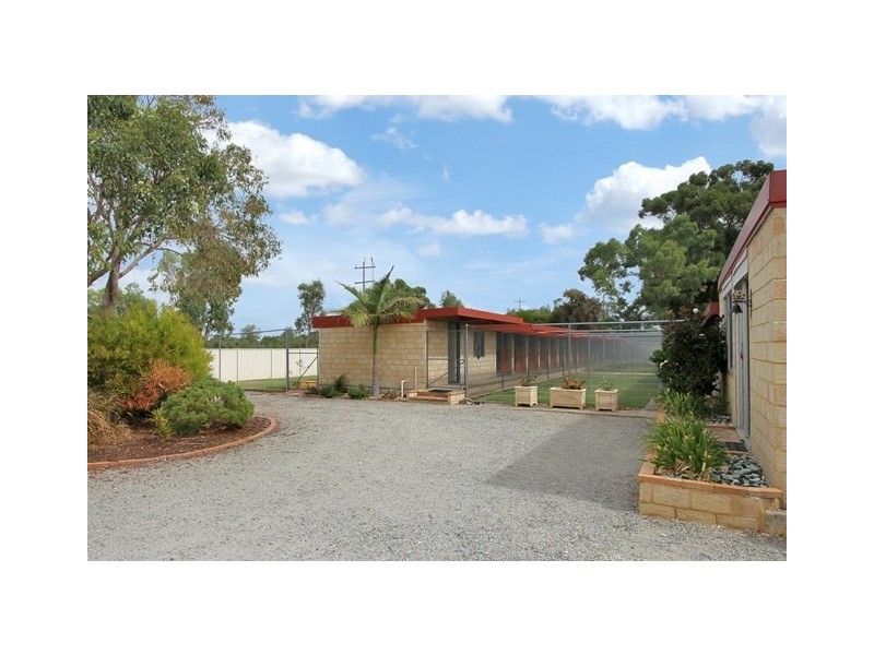 16 Cormorant Court, Southern River WA 6110